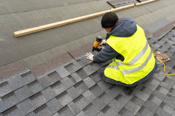 Roof Gutter Cleaning in Brandermill, VA